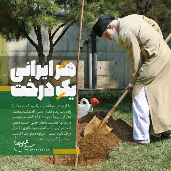  عکس روز درختکاری