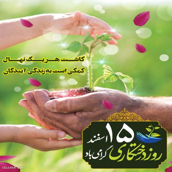  عکس روز درختکاری