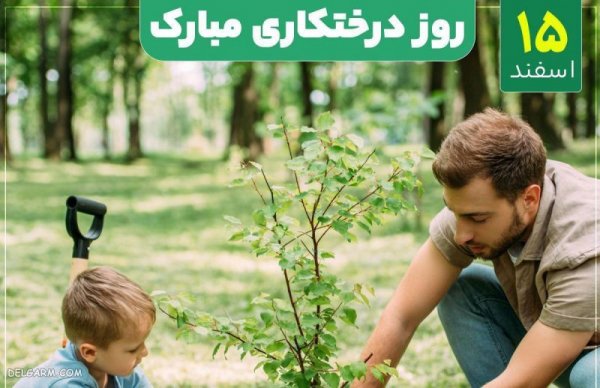  عکس روز درختکاری