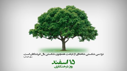  عکس روز درختکاری