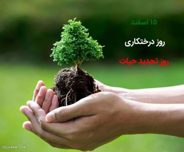  عکس روز درختکاری