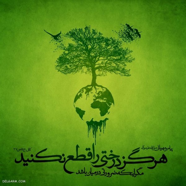  عکس روز درختکاری