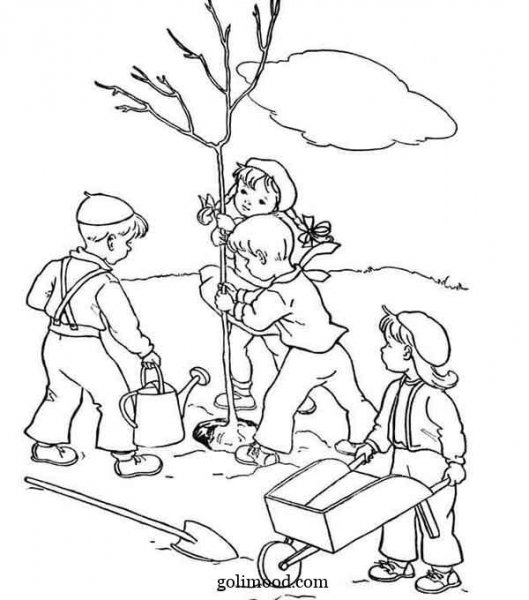  عکس درختکاری کودکانه