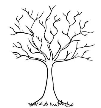  نقاشی درخت کودکانه ساده