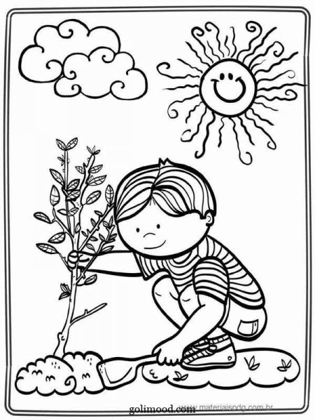  نقاشی درخت ساده با مداد