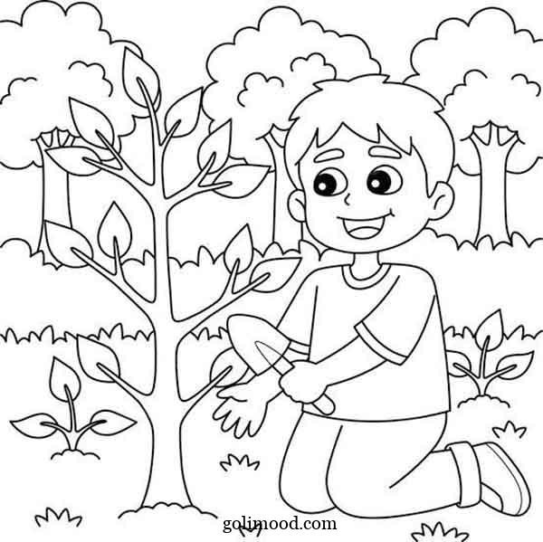  نقاشی درخت ساده با مداد