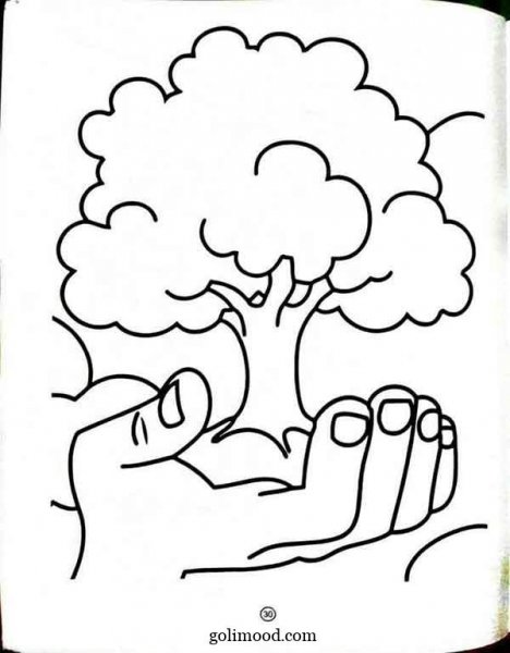  نقاشی درخت ساده با مداد