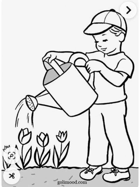  نقاشی درخت ساده با مداد