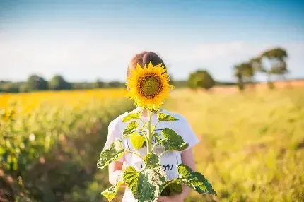  عکس گل قشنگ و طبیعی