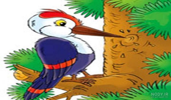  نقاشی دارکوب آسان