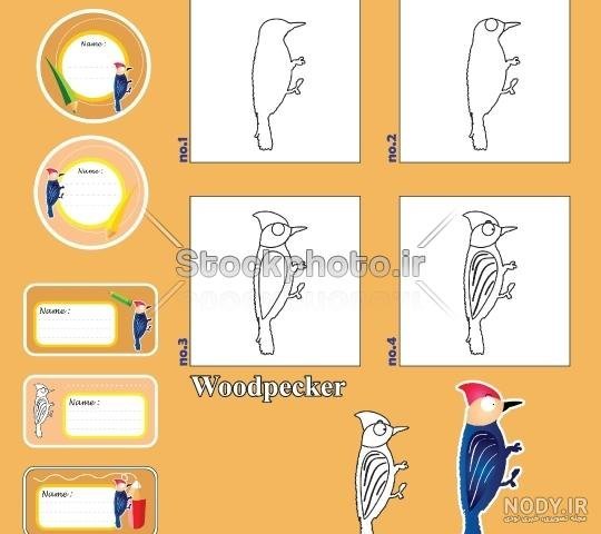  نقاشی دارکوب آسان