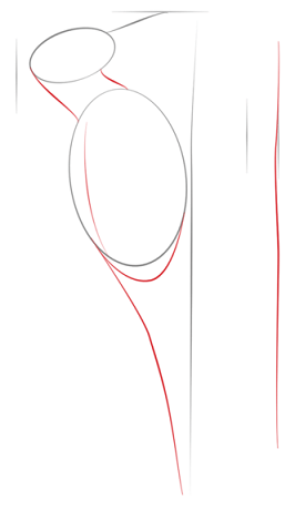  عکس دارکوب نقاشی