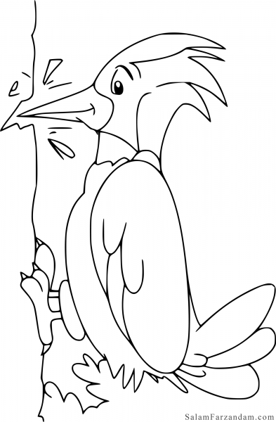  عکس دارکوب نقاشی