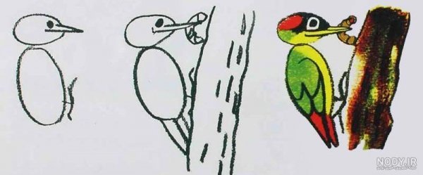  عکس دارکوب نقاشی