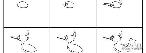  عکس دارکوب نقاشی