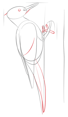  عکس نقاشی دارکوب کودکانه