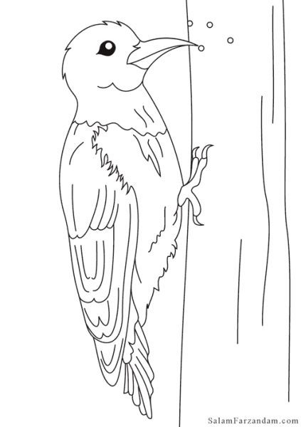  عکس نقاشی دارکوب کودکانه