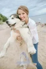  عکس سگ برای پروفایل