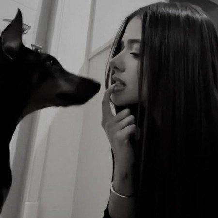  عکس سگ کیوت برای پروفایل