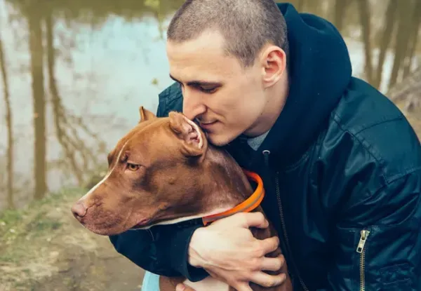  عکس از سگ پیت بول