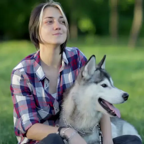  عکس سگ هاسکی خانگی