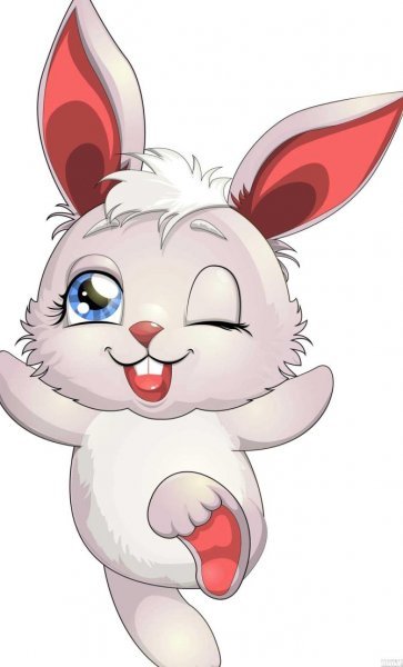  عکس حیوانات کیوت کارتونی