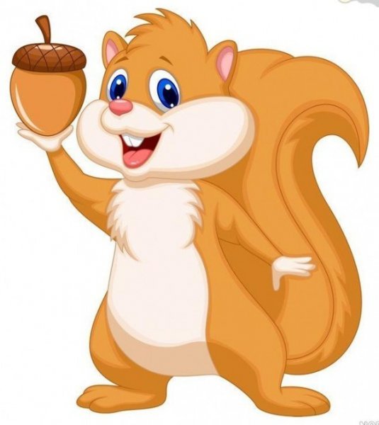  عکس حیوانات کیوت کارتونی