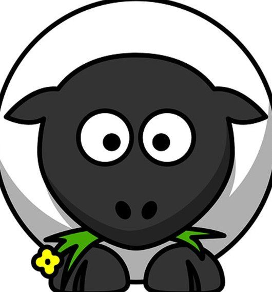  عکس حیوانات کیوت کارتونی