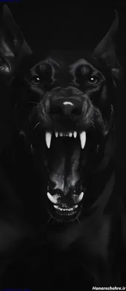  عکس تصویر زمینه سگ خفن