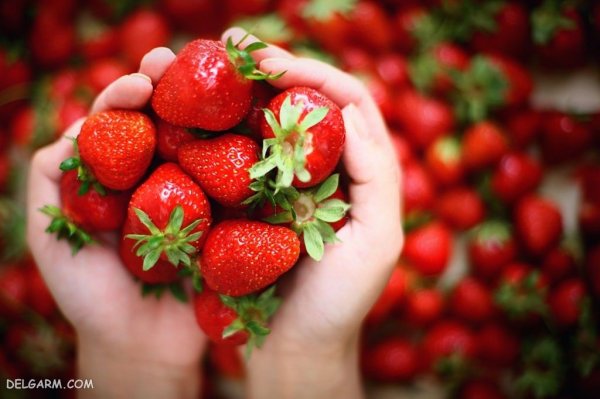  عکس توت فرنگی برای استوری