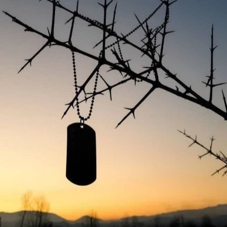  عکس های زیبا از غروب