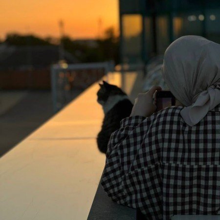  عکس های زیبا از غروب