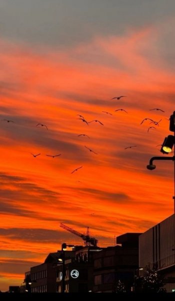  عکس های زیبا از غروب