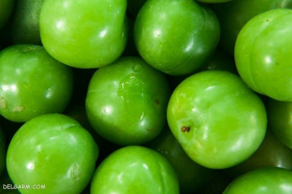  عکس گوجه سبز برای استوری