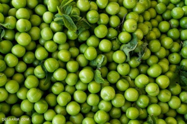  عکس گوجه سبز برای استوری