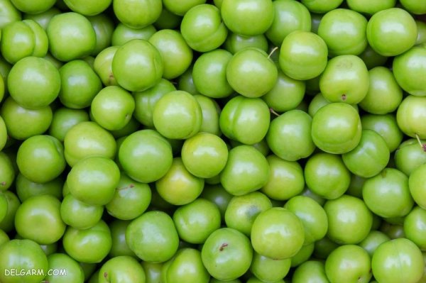  عکس گوجه سبز برای استوری