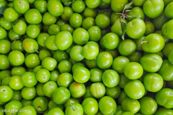  عکس گوجه سبز برای استوری