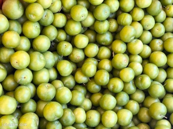  عکس گوجه سبز برای استوری