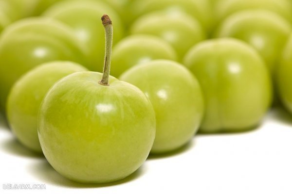  عکس گوجه سبز و لواشک