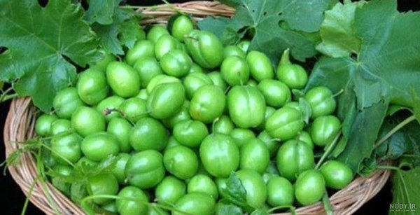  عکس گوجه سبز با نمک