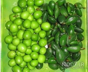  عکس گوجه سبز با نمک