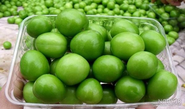  عکس گوجه سبز با نمک