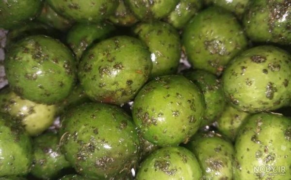  عکس گوجه سبز با نمک