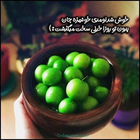  عکس گوجه سبز و توت فرنگی