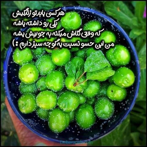  عکس گوجه سبز و توت فرنگی