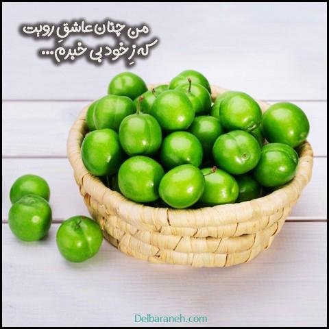  عکس گوجه سبز و توت فرنگی