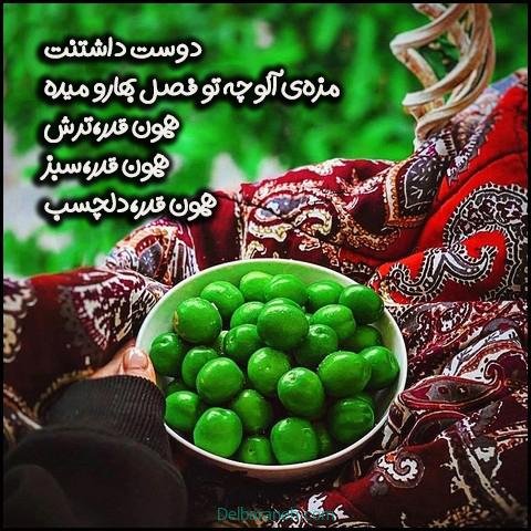  عکس گوجه سبز و توت فرنگی