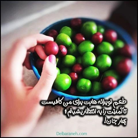  عکس گوجه سبز و توت فرنگی