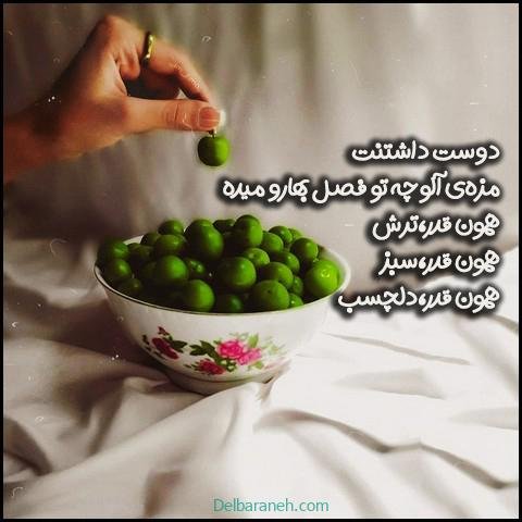  عکس گوجه سبز و توت فرنگی