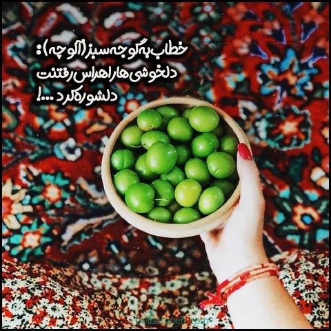 عکس گوجه سبز و توت فرنگی
